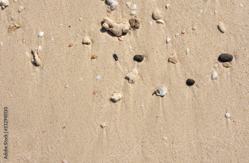 Sand island beach background. Coral fragments, gravel,shells on fine sand beach.