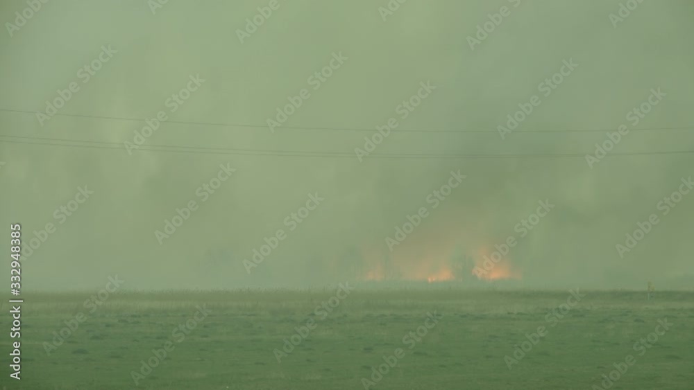 Strong forest fire, uncontrolled disaster, caustic smoke, sky is long