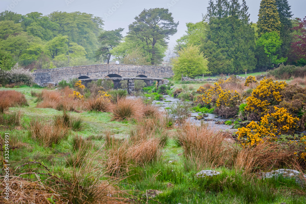 Obraz premium Old bridge in Dartmoor, Devon