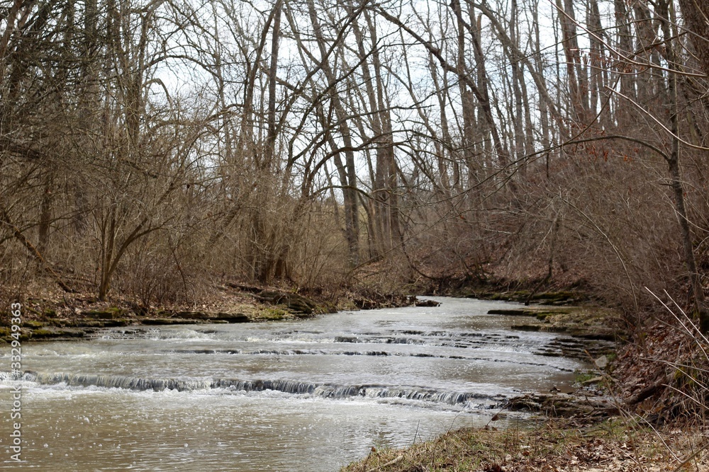 The flowing stream in the bare tree forest on a winter day. The flowing stream in the bare tree forest on a winter day.