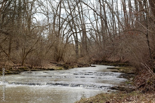 The flowing stream in the bare tree forest on a winter day.