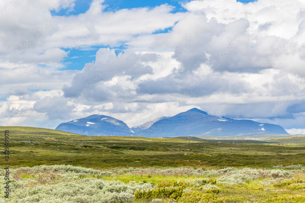 Mountain in the wilderness moor landscape