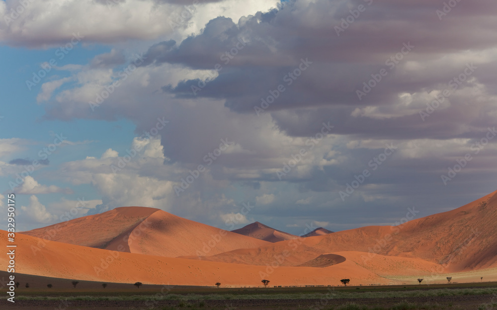 Desert_.9001