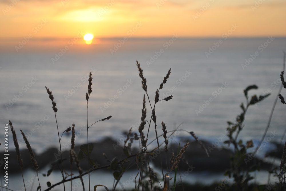 Fototapeta premium sunset on the Atlantic ocean