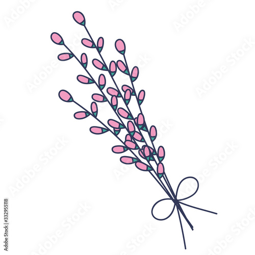 Three pussy willow twigs in doodle style. Great for Easter greeting cards, logo. Hand drawn vector illustration in black ink. Isolated outline.