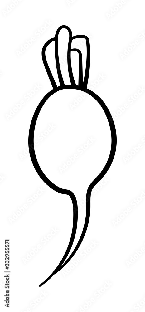 Fototapeta premium Cartoon style radish in black lines on white background