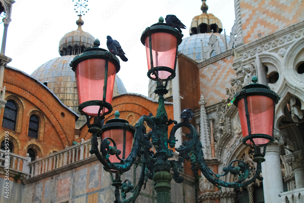 Pigeons on Saint Mark's Square in Venice on a lantern