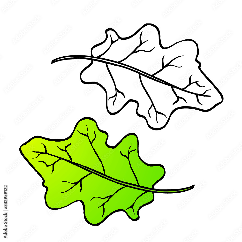 Naklejka premium eggplant leaves drawing isolated on white 