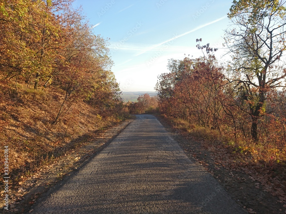 Obraz premium road in autumn