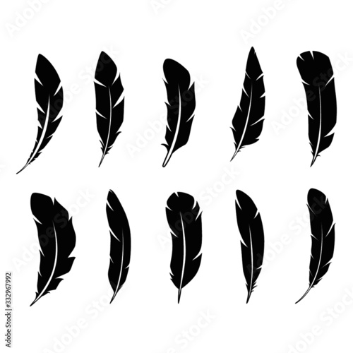 Beautiful Feather Patterns photo