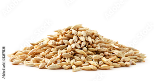 Barley grain heap close-up on a white. Isolated