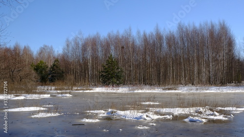 Wallpaper Mural Spring landscape: river flooding in the forest in early spring on a warm Sunny day Torontodigital.ca