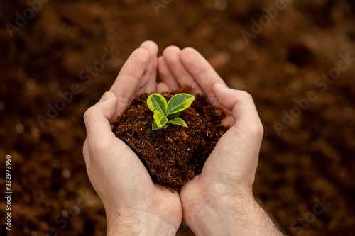 A men's hands holding soil with seedling. Gardening, ecology concept. Environmental protection