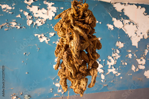 dried peppers in the old ghost town of Romagnano al Monte, Salerno, Campania, Italy photo