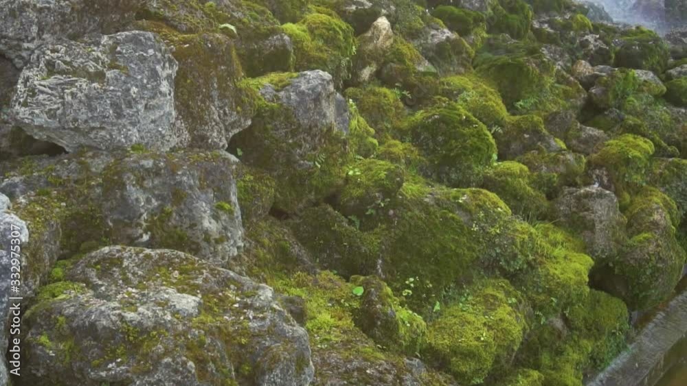 Stones overgrown with silt. Transparent water of a waterfall. Natural landscape Stones overgrown with silt. Transparent water of a waterfall. Natural landscape