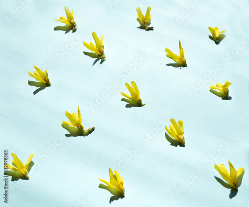 Summer pattern made with yellow flowers and shadow on bright light blue background. Minimal spring concept. Natural  cosmetics and aromatherapy