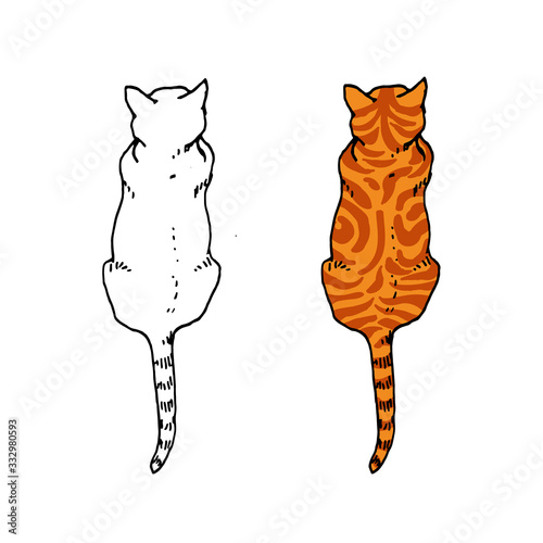 Vector line illustration of lying cats with color variant isolated on white background for avatar, logotype, store, clinic signboard, web site and book design.