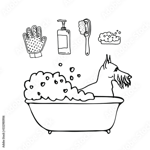 Set of pet grooming washing up tools for dog styling and grooming salon, icons for web site design. Vector outline illustration of bath, soap, foam, shower, shampoo isolated on white background.