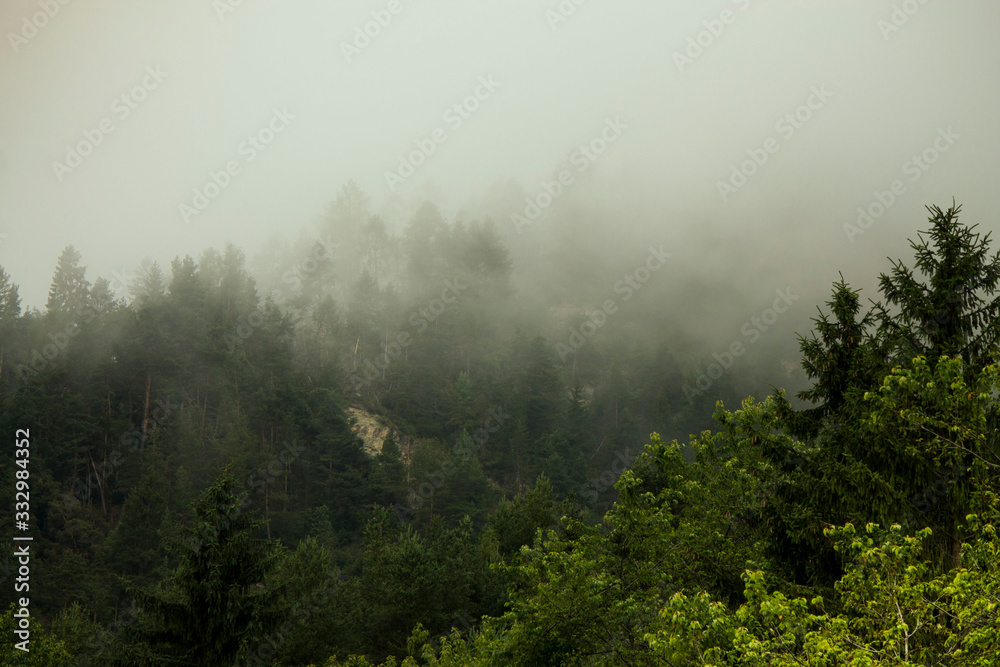 fog on mountain 
