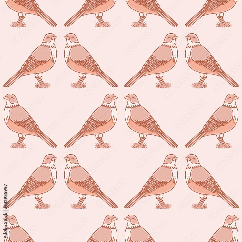Obraz premium Rufous Bellied Thrush vector repeat pattern. Kawaii bird with orange belly seamless illustration background.