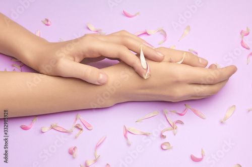 Womans hands with a bright pink gerbera flowers on a purple backround. Product or skin care  natural petal cosmetics  anti-wrinkle hand care.