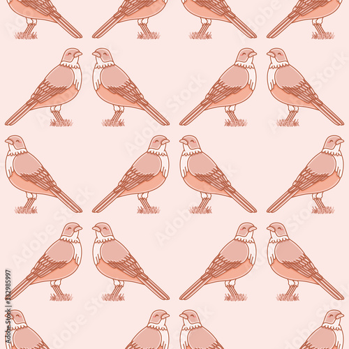 Rufous Bellied Thrush vector repeat pattern. Kawaii bird with orange belly seamless illustration background.