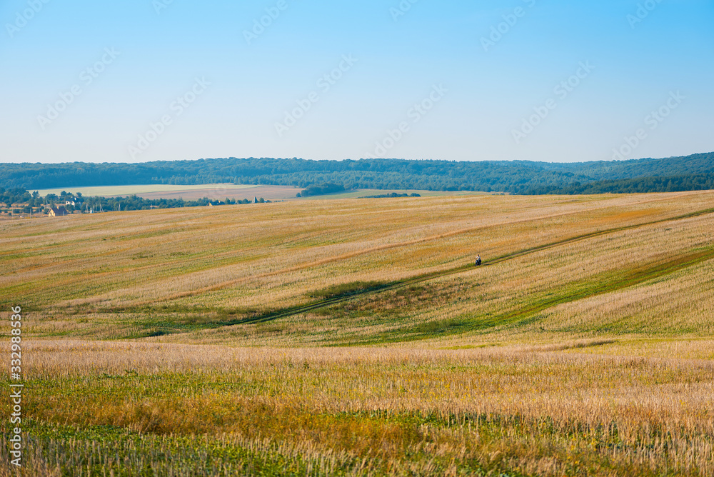 Small people in big world. motorcyclist rides through golden straw stubble field. Autumn landscape under blue sky.