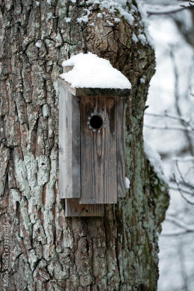 birdhouse on treefootprints in snow, sweden, stockholm, nacka