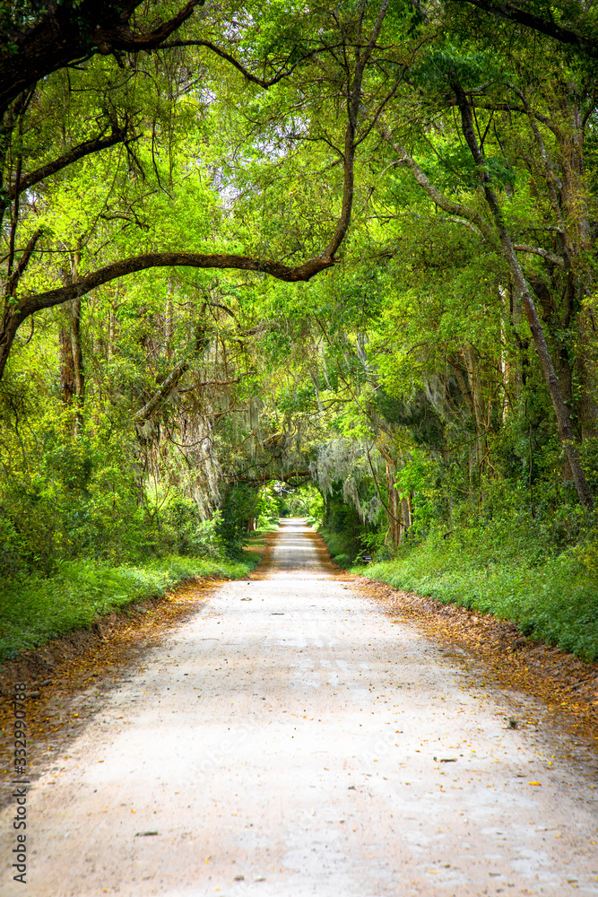 Obraz premium Florida Country Roads