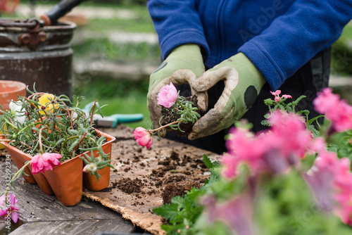 Container Flower planting