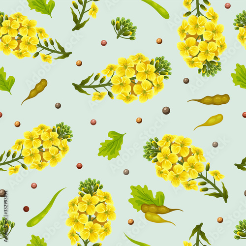 Rape seeds and flowers, canola oil. Brassica napus. Seamless vector pattern.