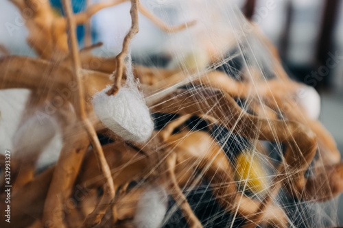 silkworm cocoon