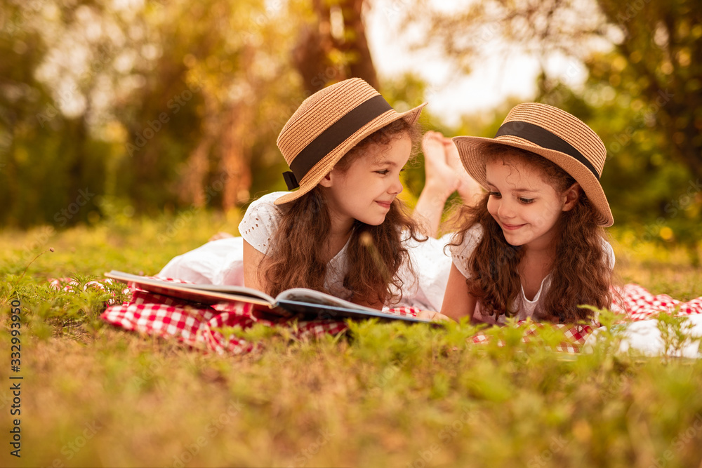 Happy twins reading book during picnic