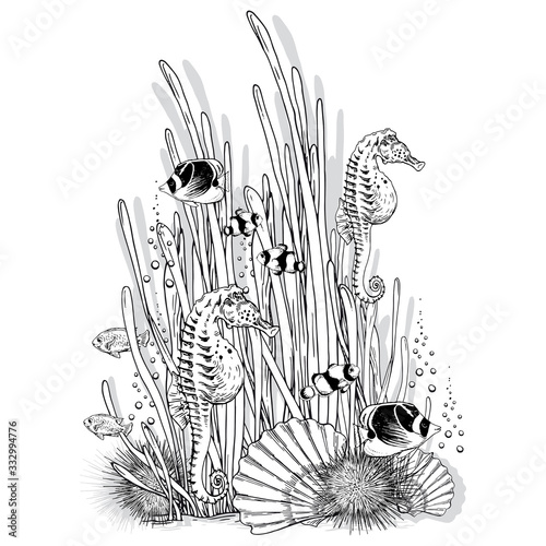 Black and white reef scenery with seahorses, seaweeds, shells and fishes.