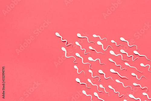 Sperm course photo