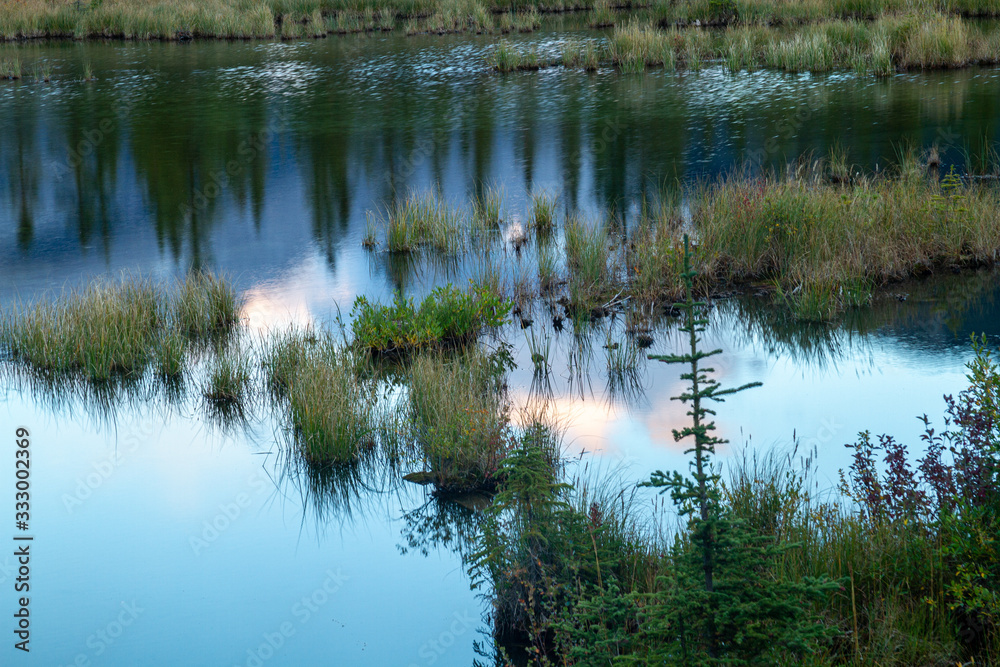 reflections in a lake in the Canadian Rockies reflections in a lake in the Canadian Rockies