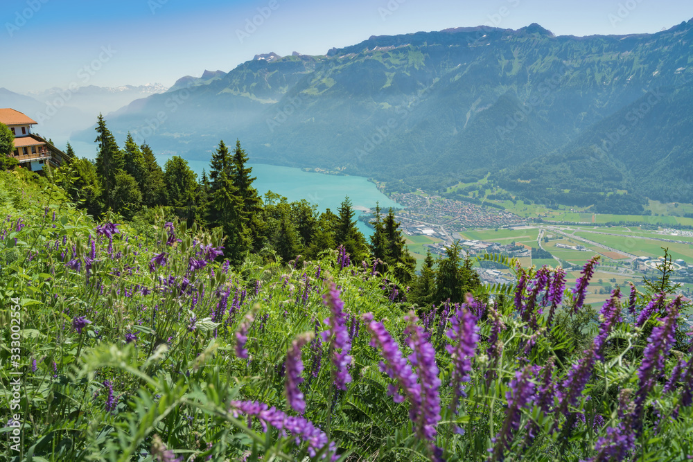 View from Harder Kulm on Thun Lake in summer in Switzerland
