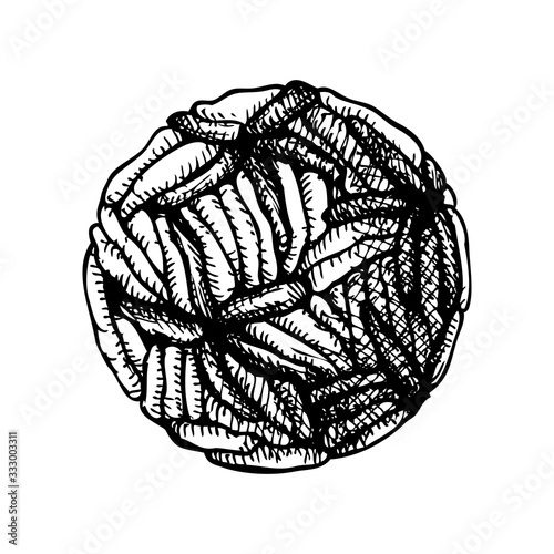 Different kinds of virus  sketch. Biology organisms illustration in vintage engraved style. Respiratory virus infection macro drawing. 