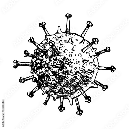 Different kinds of virus  sketch. Biology organisms illustration in vintage engraved style. Respiratory virus infection macro drawing. 