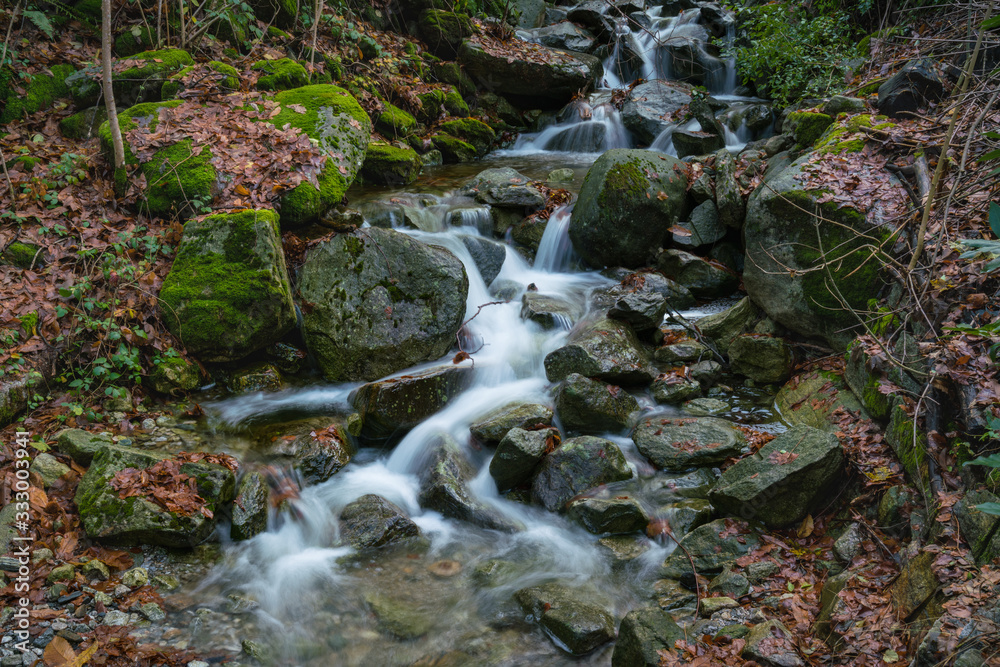 A stream among stones covered with fallen leaves