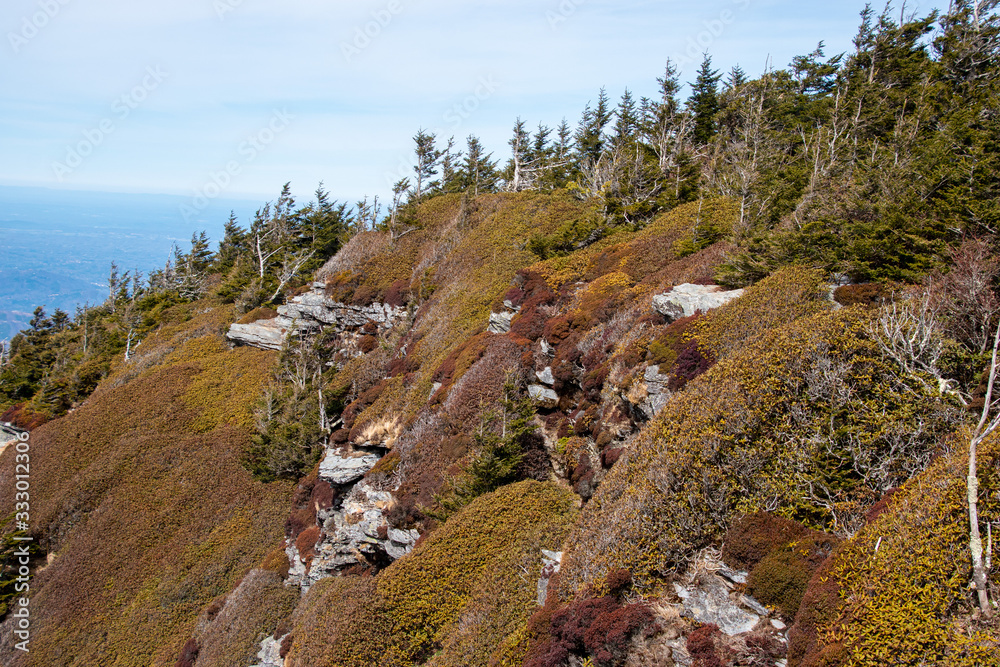 A view from the top of Mt Le Conte taken from the Alum Cave Trail