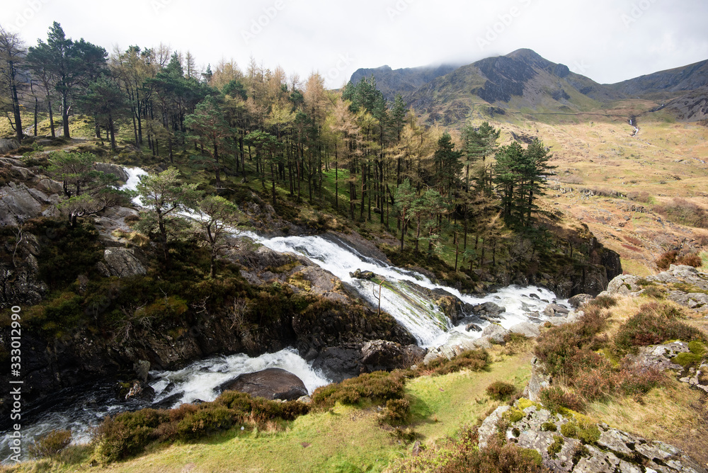 Fast flowing, white foaming river, tumbling over boulders, with pine trees and rugged mountains in the distance Fast flowing, white foaming river, tumbling over boulders, with pine trees and rugged mountains in the distance