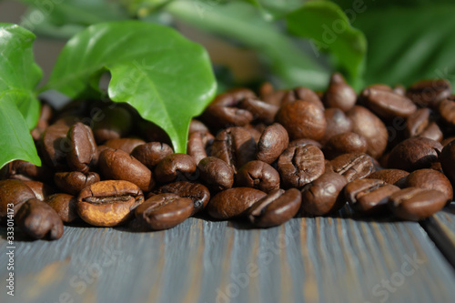 Coffee beans on a wooden background with leaves of a coffee tree with spaces for text.