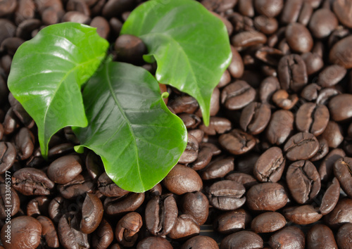 background of roasted coffee beans with coffee tree leaves. flat layout