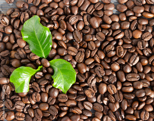 Coffee beans on a wooden background with leaves of a coffee tree with spaces for text.