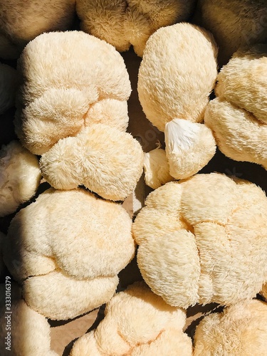 Lion mane mushrooms at farmer's market photo