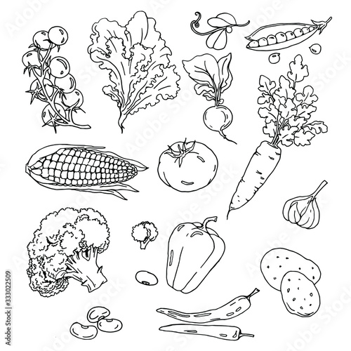 vegetables colorful spring vitamin vegetarian set
