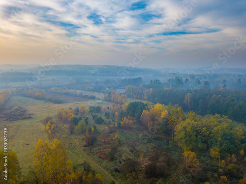 Beautiful Misty forest drone landscape