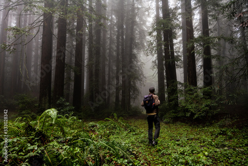 Figure walking through green plants twords grove of foggy trees photo