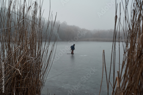 frozen reeds near the water in winter, during a fog covered with frost in cloudy weather